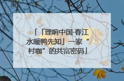 「理响中国·春江水暖鸭先知」一家“村咖”的共富密码