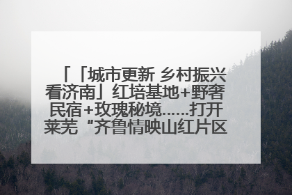 「城市更新 乡村振兴看济南」红培基地+野奢民宿+玫瑰秘境……打开莱芜“齐鲁情映山红片区”的破圈秘籍