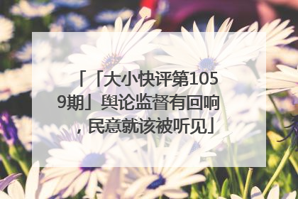 「大小快评第1059期」舆论监督有回响，民意就该被听见