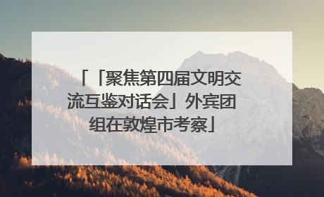 「聚焦第四届文明交流互鉴对话会」外宾团组在敦煌市考察