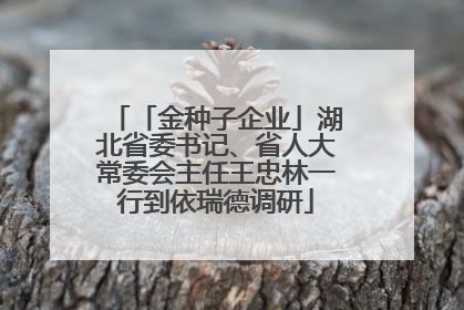 「金种子企业」湖北省委书记、省人大常委会主任王忠林一行到依瑞德调研