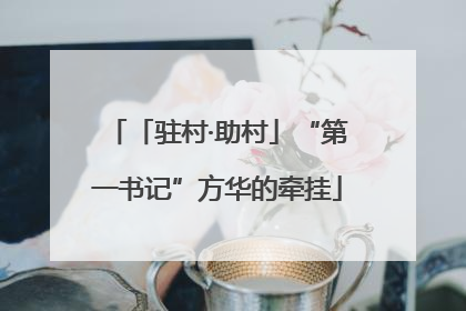 「驻村·助村」“第一书记”方华的牵挂