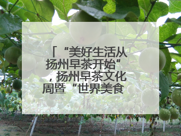 “美好生活从扬州早茶开始”，扬州早茶文化周暨“世界美食之都”创新发展交流活动启幕