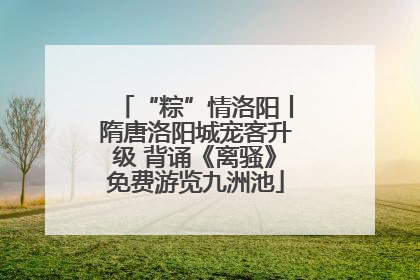 “粽”情洛阳丨隋唐洛阳城宠客升级 背诵《离骚》免费游览九洲池