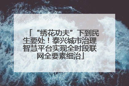 “绣花功夫”下到民生要处！泰兴城市治理智慧平台实现全时段联网全要素细治