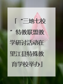 “三地七校”特教联盟教学研讨活动在望江县特殊教育学校举办