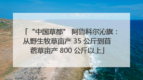 “中国草都” 阿鲁科尔沁旗：从野生牧草亩产 35 公斤到苜蓿草亩产 800 公斤以上