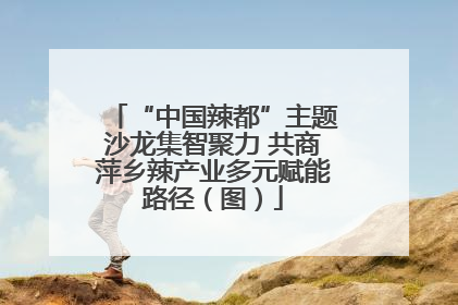 “中国辣都”主题沙龙集智聚力 共商萍乡辣产业多元赋能路径（图）
