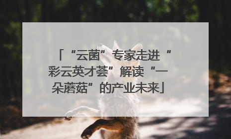 “云菌”专家走进“彩云英才荟”解读“一朵蘑菇”的产业未来