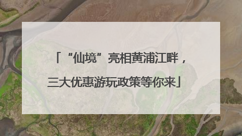 “仙境”亮相黄浦江畔，三大优惠游玩政策等你来