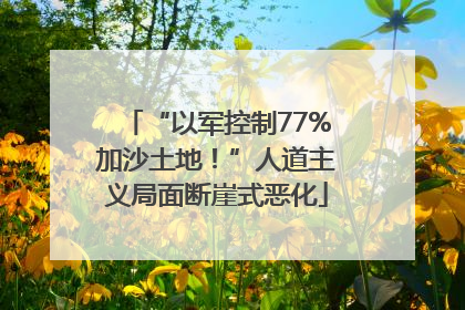 “以军控制77%加沙土地！”人道主义局面断崖式恶化