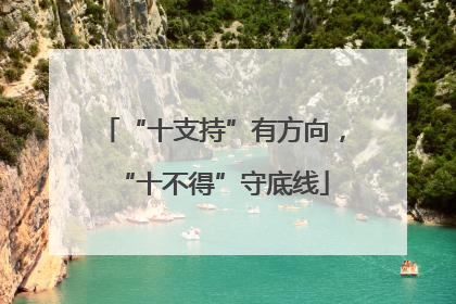 “十支持”有方向，“十不得”守底线