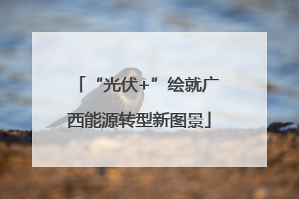 “光伏+”绘就广西能源转型新图景