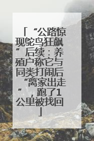 “公路惊现鸵鸟狂飙”后续：养殖户称它与同类打闹后“离家出走”，跑了1公里被找回
