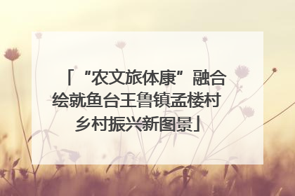“农文旅体康”融合绘就鱼台王鲁镇孟楼村乡村振兴新图景