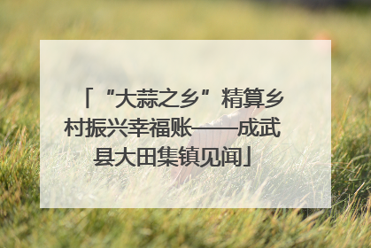 “大蒜之乡”精算乡村振兴幸福账——成武县大田集镇见闻