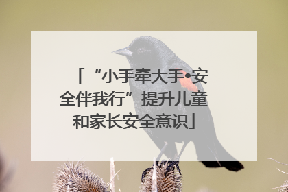 “小手牵大手•安全伴我行”提升儿童和家长安全意识