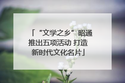 “文学之乡”昭通推出五项活动 打造新时代文化名片