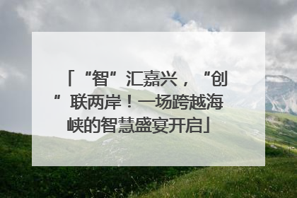 “智”汇嘉兴，“创”联两岸！一场跨越海峡的智慧盛宴开启