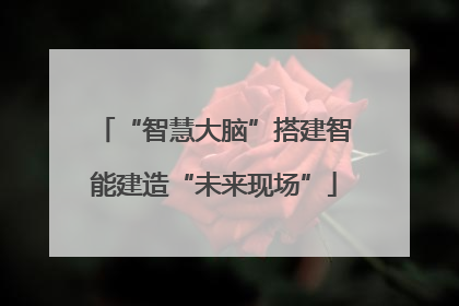 “智慧大脑”搭建智能建造“未来现场”