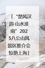 “楚风汉韵 山水淮南”2025八公山风景区推介会惊艳上海