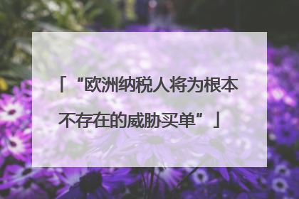 “欧洲纳税人将为根本不存在的威胁买单”