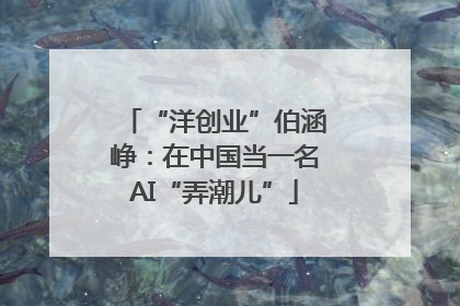 “洋创业”伯涵峥：在中国当一名AI“弄潮儿”
