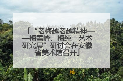 “老梅越老越精神——梅雪峰、梅纯一艺术研究展”研讨会在安徽省美术馆召开