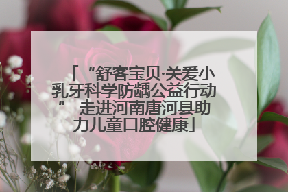 “舒客宝贝·关爱小乳牙科学防龋公益行动” 走进河南唐河县助力儿童口腔健康