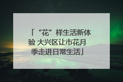 “花”样生活新体验 大兴区让市花月季走进日常生活