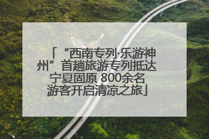“西南专列·乐游神州”首趟旅游专列抵达宁夏固原 800余名游客开启清凉之旅