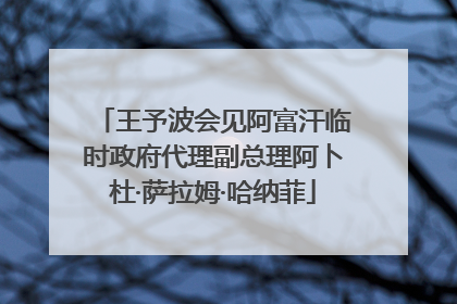 王予波会见阿富汗临时政府代理副总理阿卜杜·萨拉姆·哈纳菲