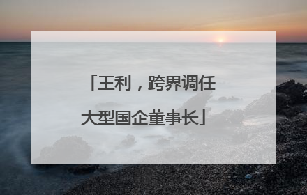 王利，跨界调任大型国企董事长
