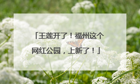 王莲开了！福州这个网红公园，上新了！