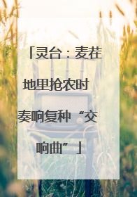 灵台：麦茬地里抢农时 奏响复种“交响曲”