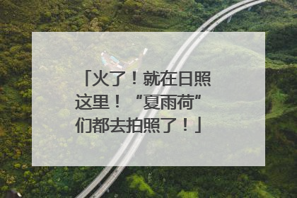 火了！就在日照这里！“夏雨荷”们都去拍照了！