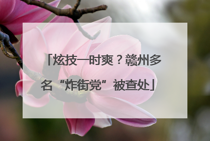 炫技一时爽？赣州多名“炸街党”被查处