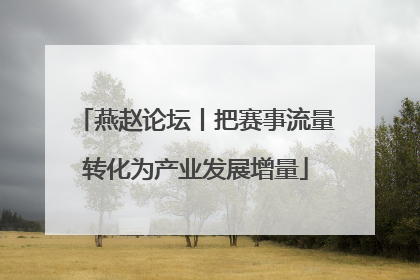 燕赵论坛丨把赛事流量转化为产业发展增量