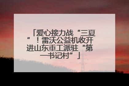 爱心接力战“三夏”！雷沃公益机收开进山东重工派驻“第一书记村”