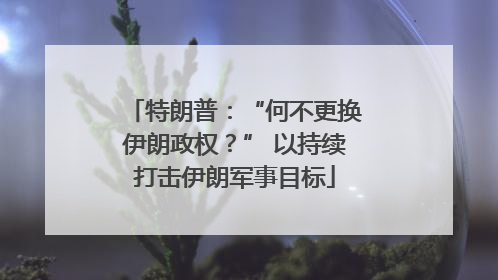 特朗普：“何不更换伊朗政权？” 以持续打击伊朗军事目标