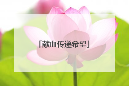 献血传递希望