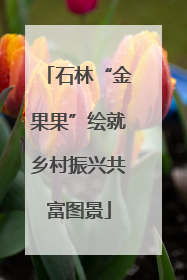 石林“金果果”绘就乡村振兴共富图景