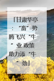 甘肃华亭：“畜”势腾飞兴“牛”业 政策助力添“牛”劲