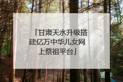甘肃天水升级搭建亿万中华儿女网上祭祖平台