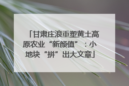 甘肃庄浪重塑黄土高原农业“新颜值”：小地块“拼”出大文章