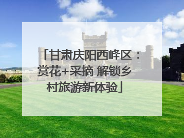 甘肃庆阳西峰区：赏花+采摘 解锁乡村旅游新体验