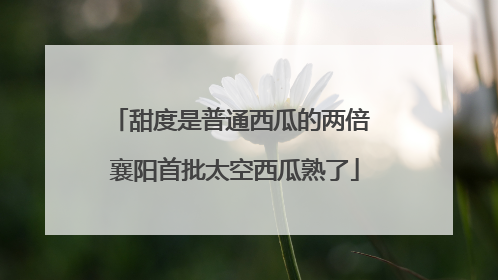 甜度是普通西瓜的两倍 襄阳首批太空西瓜熟了