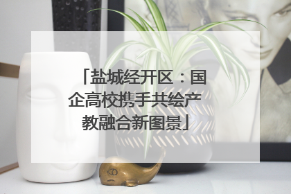 盐城经开区：国企高校携手共绘产教融合新图景