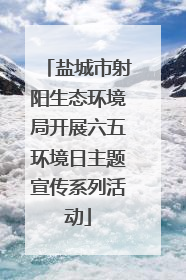 盐城市射阳生态环境局开展六五环境日主题宣传系列活动
