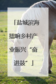盐城滨海擂响乡村产业振兴“奋进鼓”